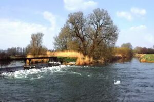 Charford Farm Fishery