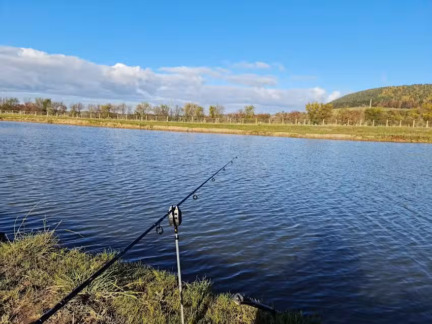 Chatton Trout Fishery