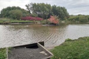 Chequer Lane Fishing Lake