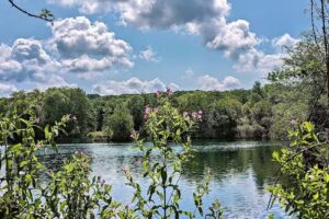 Chilham Mill Fisheries