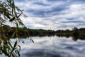 Chilston Stour Syndicate