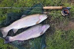 Chiphall Lake Trout Fishery