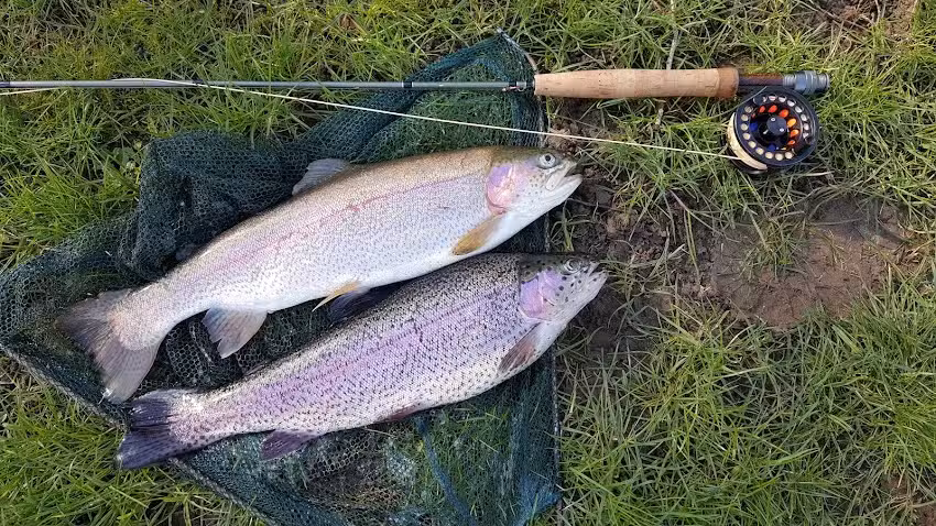 Chiphall Lake Trout Fishery