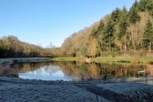 Chirk Fisheries