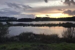 Clearwater Fisheries