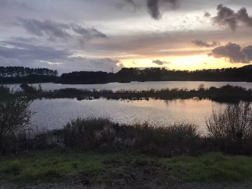 Clearwater Fisheries