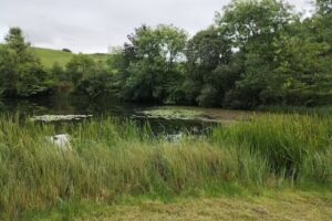 Clerklands Fly Fishery