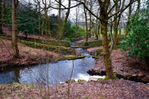 Cliviger Bottom Pond
