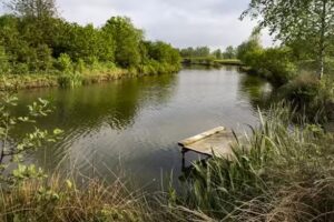 Colemans Bait & Tackle at Colemans Cottage Fishery