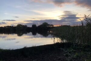 Combwich fishing lakes
