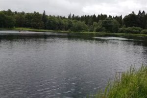 Craufurdland Lochan Fly Fishing centre