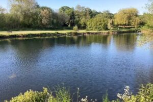 Croxley Hall Fisheries.