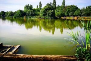 Cypry Angel pool fishery