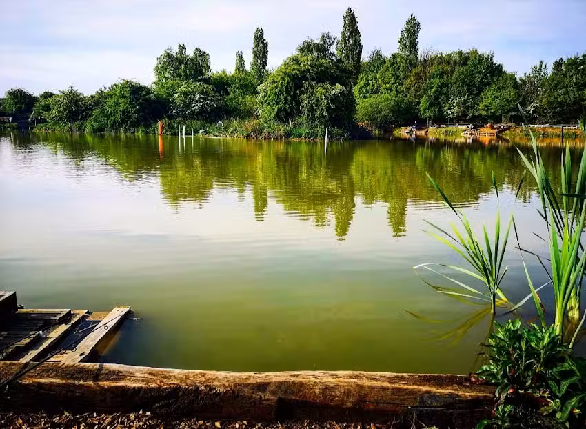 Cypry Angel pool fishery