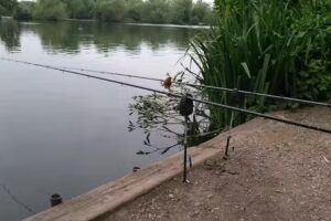 Ddaps Dartford Lakes