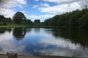 Delgatie Trout Fisherie