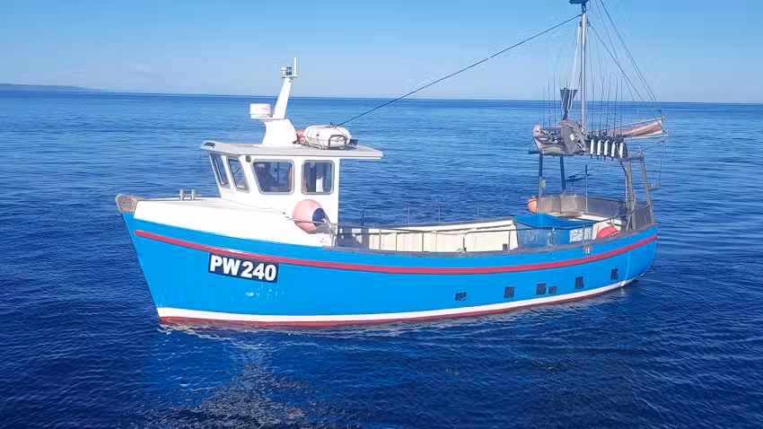 Diligence Mackerel Trips