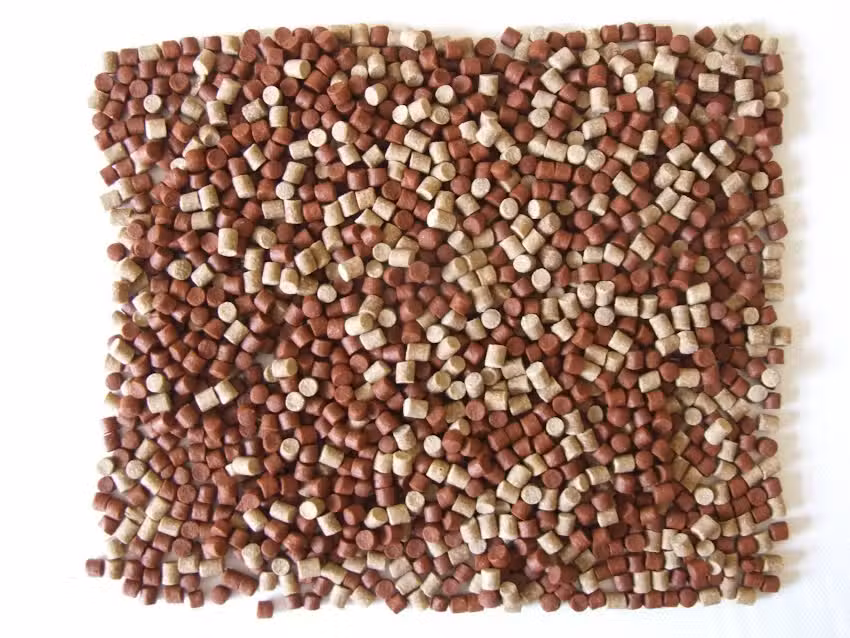 Dingledell2 Fishing Baits