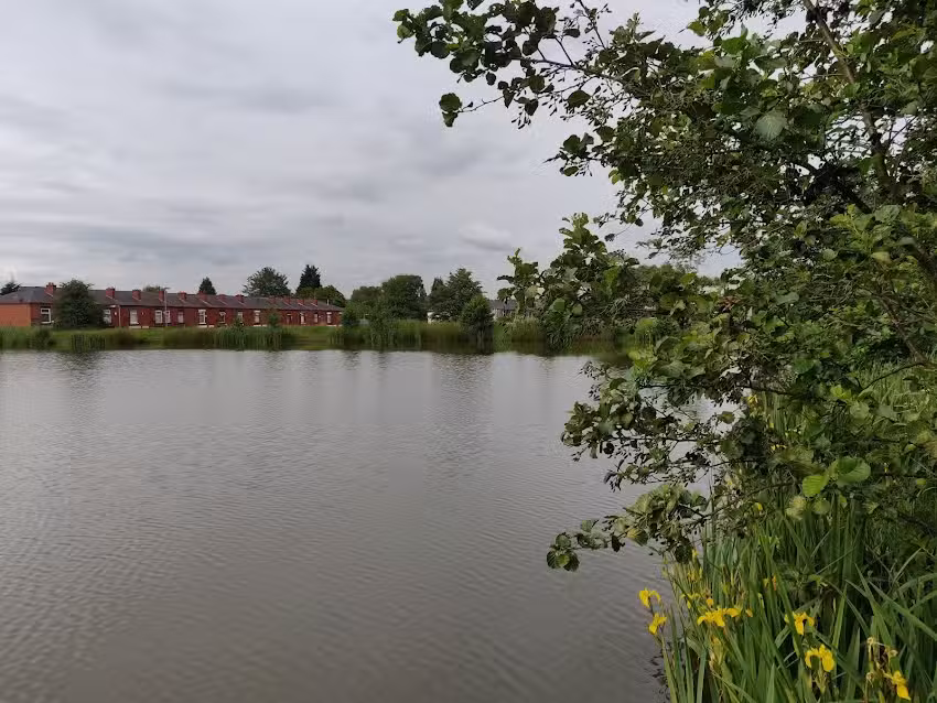 Dixon Green Fishing Pond