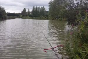 Dog Lane Fishery