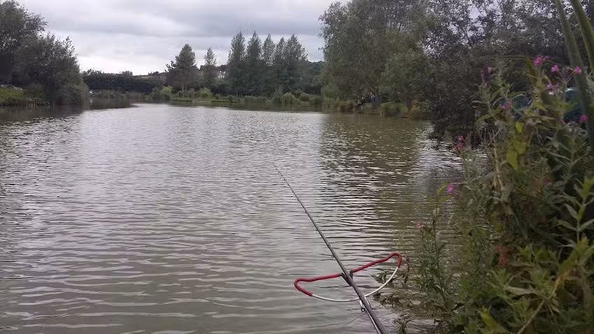 Dog Lane Fishery