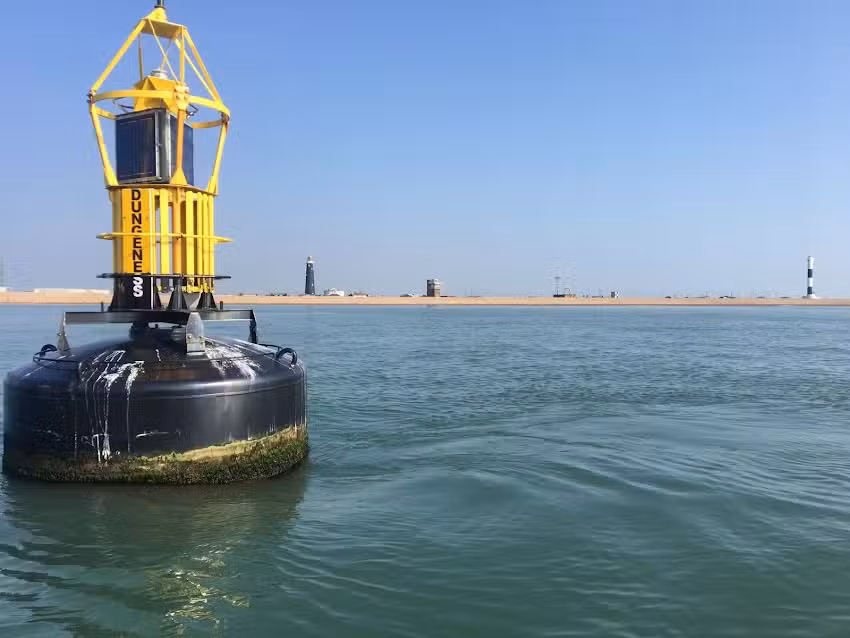 Dungeness Charter Fishing