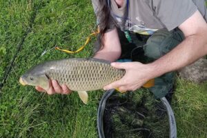 Dunham Fisheries
