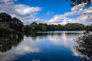 Eastrington Ponds Nature Reserve