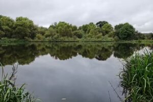 Ecclesfield Pond
