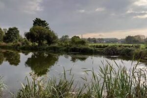 Edlesborough Fishery (Verulam Angling Club)