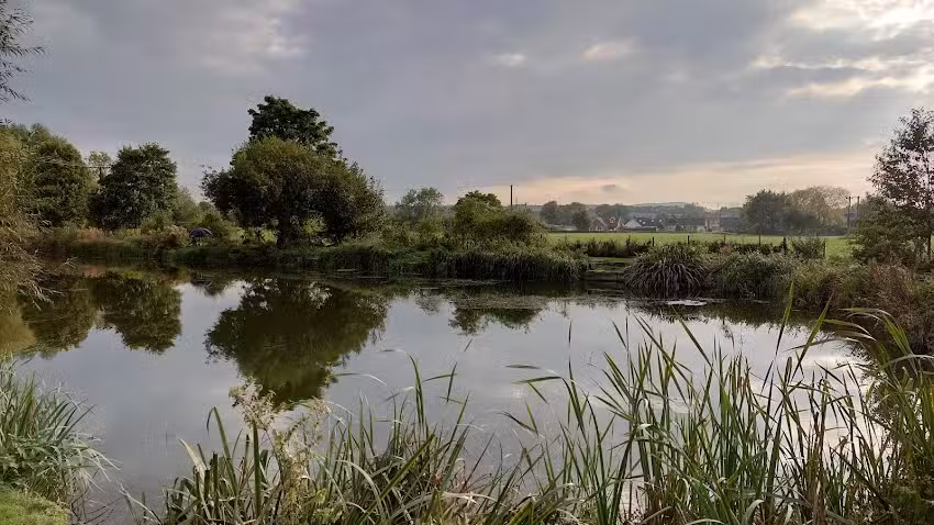 Edlesborough Fishery (Verulam Angling Club)