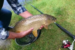 Eisteddfa Fishery & Cafe