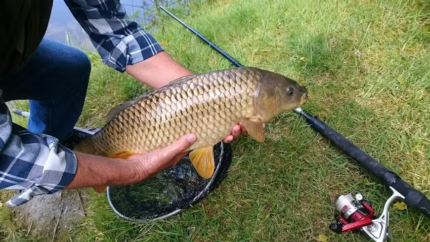 Eisteddfa Fishery & Cafe