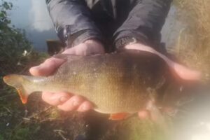 Elm Park Hornchurch and District Angling Society