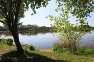 Elworth Angling Society