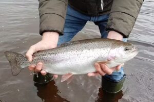 Errwood Fly Fishing Club