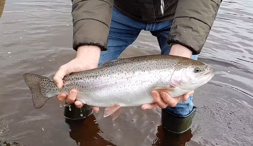 Errwood Fly Fishing Club