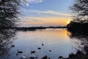 Fairlop Water Angling Lake