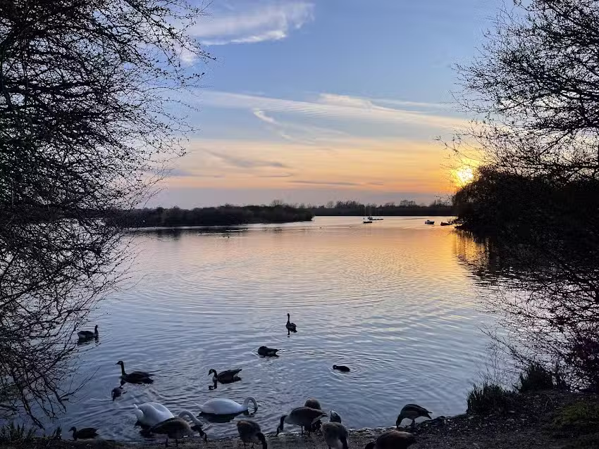 Fairlop Water Angling Lake