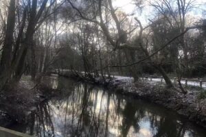 Farnborough & District Angling Society