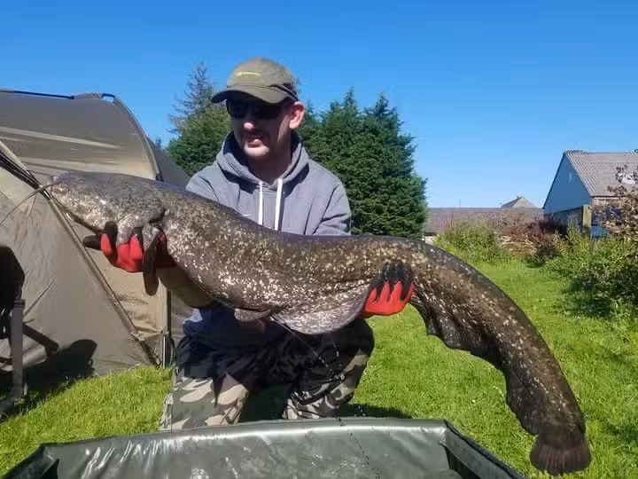 Fellview Lake Carp and Catfish Syndicate