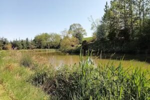 Felton Fence Fisheries