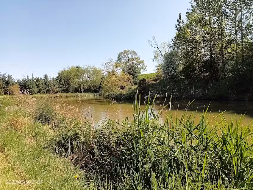 Felton Fence Fisheries