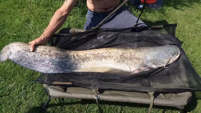 Fendick&rsquo;s Fishery