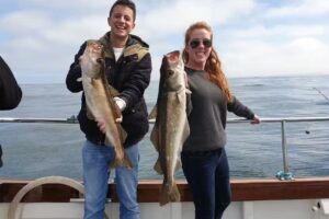 Fish Newquay – Mystique