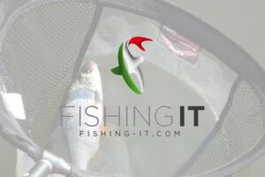 Fishing IT Ltd