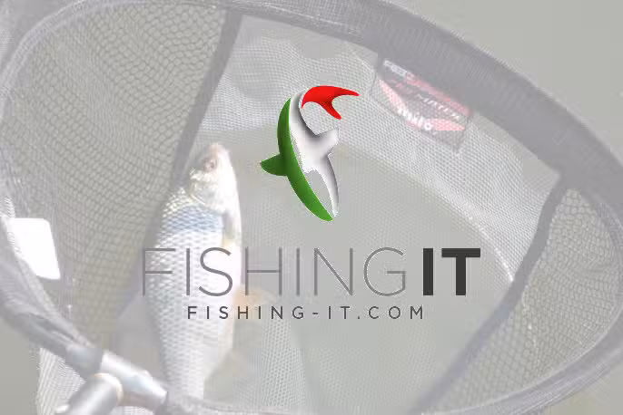 Fishing IT Ltd