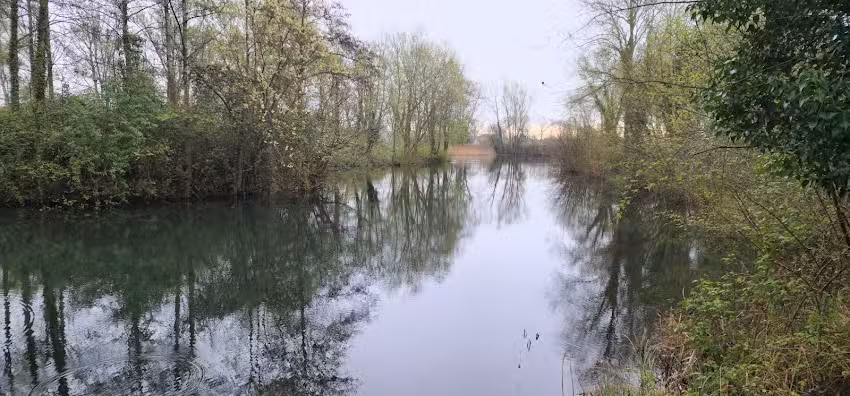 Fishing Ponds