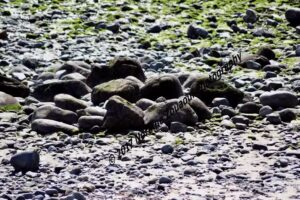 Fishing Tackle And Bait