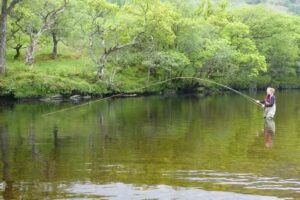 Fishinguide Scotland